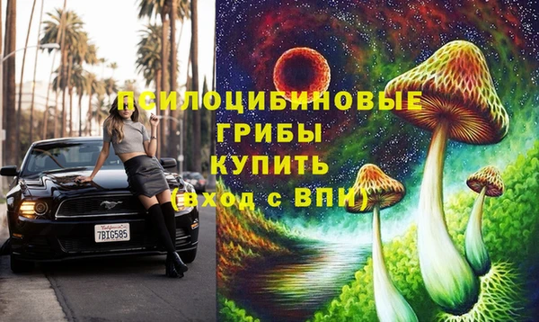 бошки Алексеевка